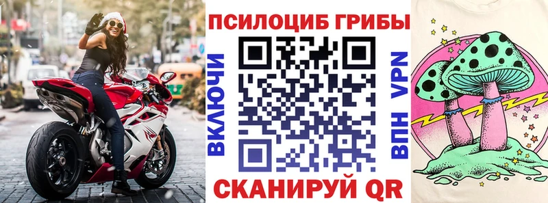 закладка  МЕГА вход  Псилоцибиновые грибы Magic Shrooms  Мглин 